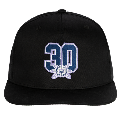 30 Jahre Nature One - Stick Snapback - Schwarz