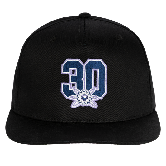 30 Jahre Nature One - Stick Snapback - Schwarz